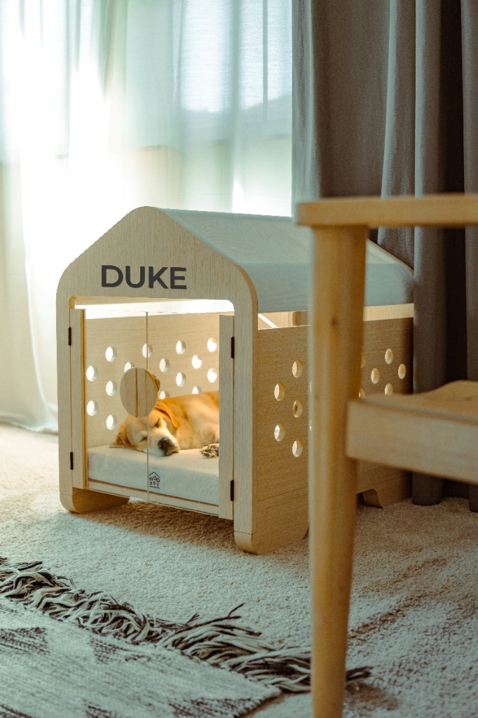 Dog inside a custom crate named Duke